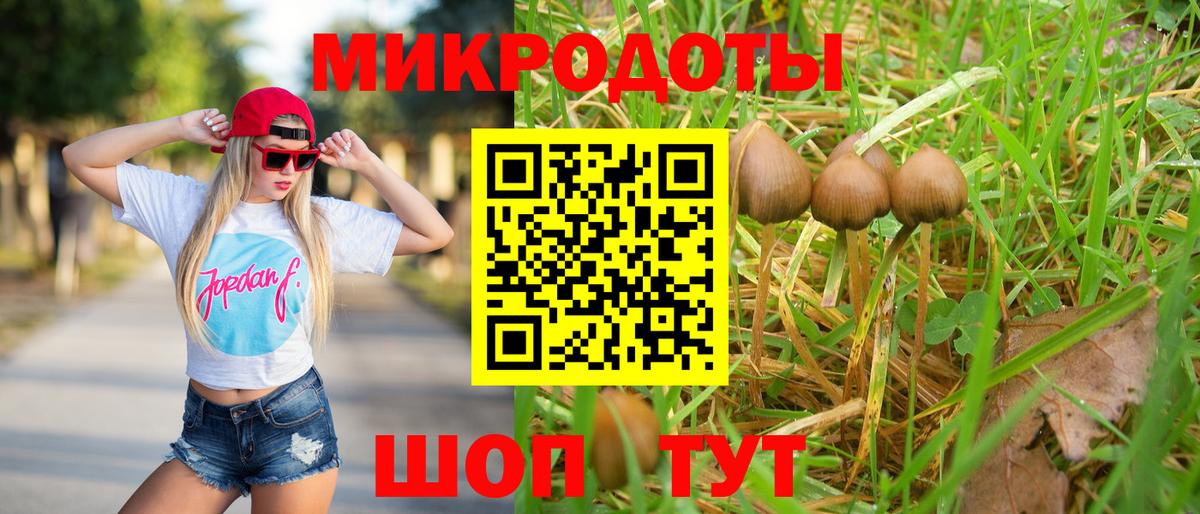 ГАШ Десногорск